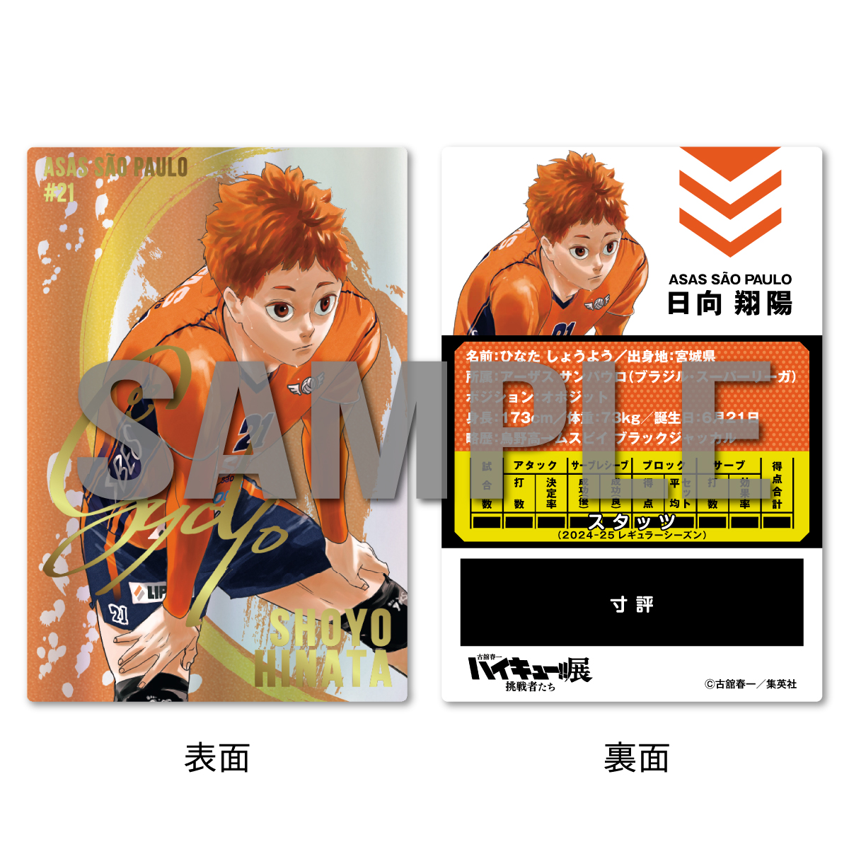 バンドルグッズ告知用1200x1200_日向_文字あり