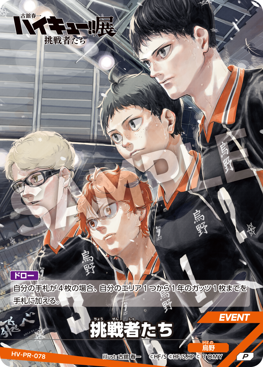 HV-PR-078_sample