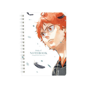 NOTEBOOK：Through Hinata Shoyo’s Eyes