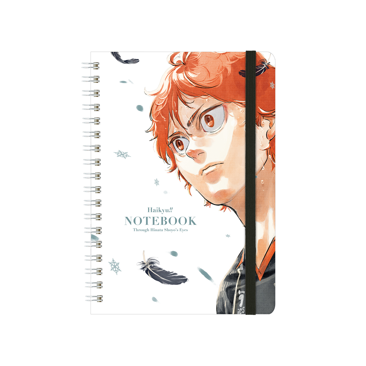 NOTEBOOK：Through Hinata Shoyo’s Eyes 