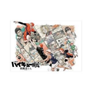 B3&B4ポスターセット キービジュアル「助走（日向翔陽）」